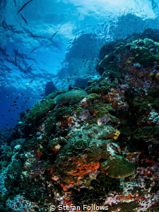 No water, no life. No blue, no green - Sylvia Earle. Sail... by Stefan Follows 